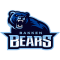 Bakken Bears official logo stor